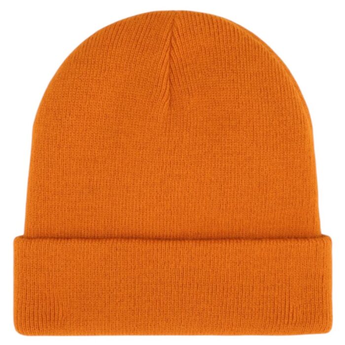 DICKIES GIBSLAND BEANIE AUTUMN MAPLE - Εικόνα 2