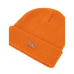 DICKIES GIBSLAND BEANIE AUTUMN MAPLE - Εικόνα 3
