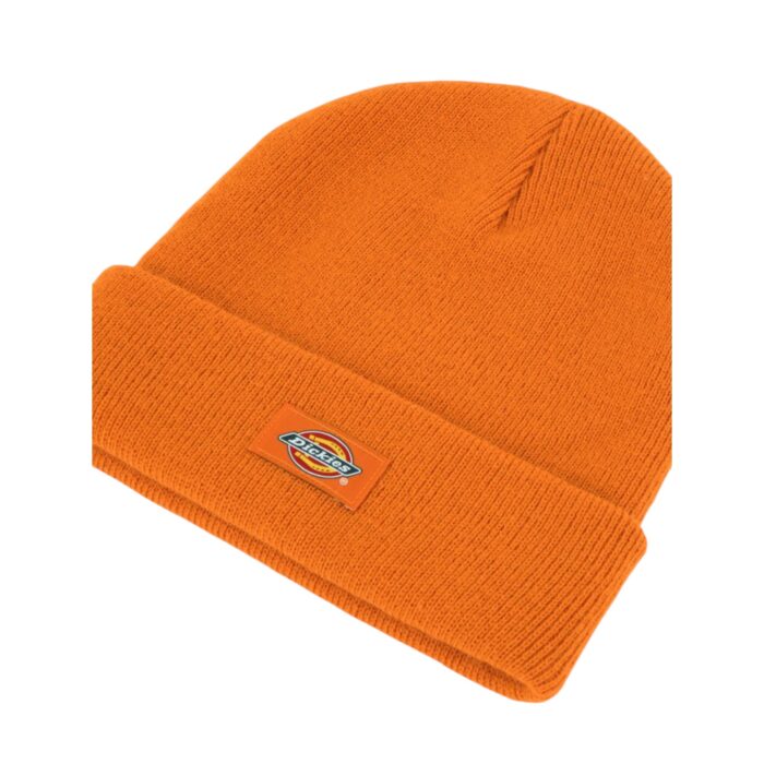 DICKIES GIBSLAND BEANIE AUTUMN MAPLE - Εικόνα 3