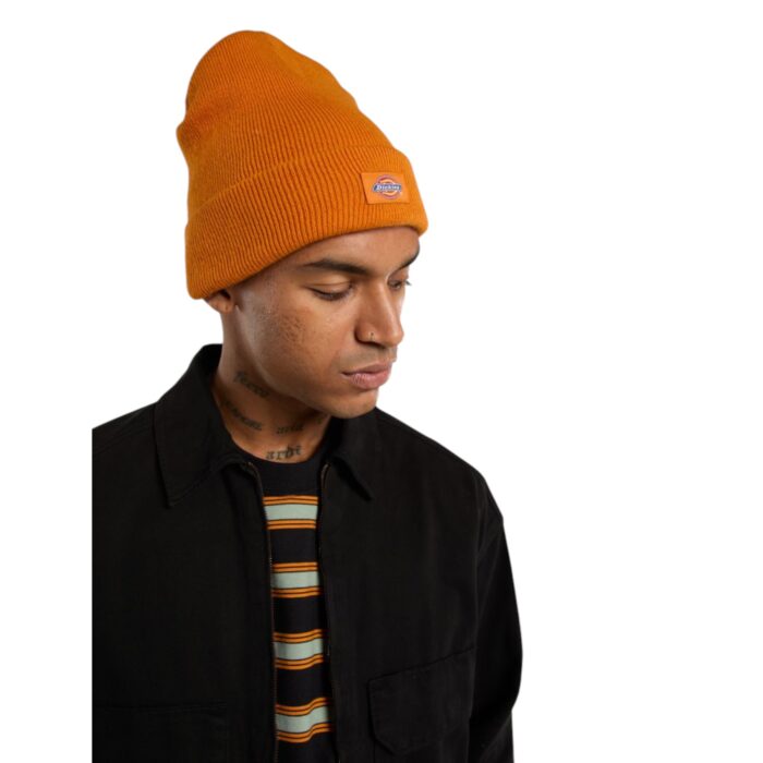 DICKIES GIBSLAND BEANIE AUTUMN MAPLE - Εικόνα 4