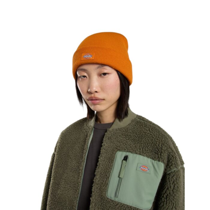 DICKIES GIBSLAND BEANIE AUTUMN MAPLE - Εικόνα 5