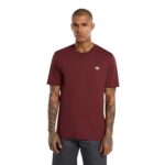 DICKIES MAPLETON T-SHIRT ANDORRA - Image 3