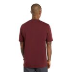 DICKIES MAPLETON T-SHIRT ANDORRA - Image 4