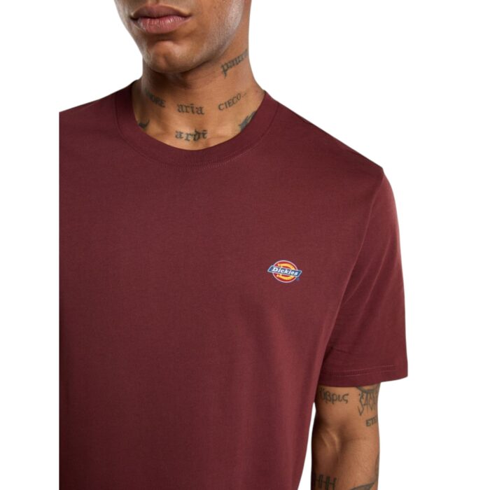 DICKIES MAPLETON T-SHIRT ANDORRA - Image 5