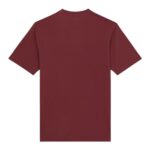 DICKIES MAPLETON T-SHIRT ANDORRA - Image 2