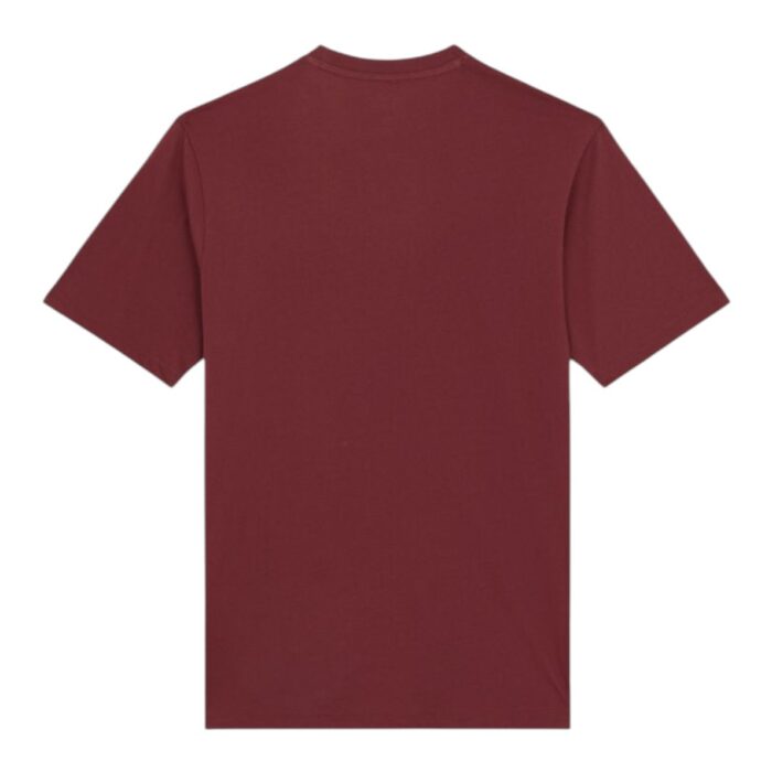 DICKIES MAPLETON T-SHIRT ANDORRA - Image 2