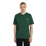 DICKIES MAPLETON T-SHIRT PINE NEEDLE GREEN - Image 3