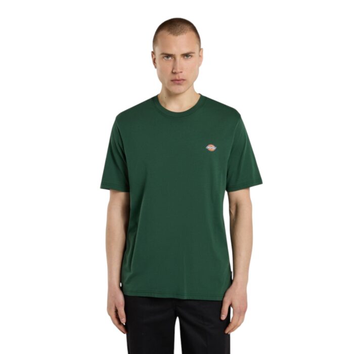 DICKIES MAPLETON T-SHIRT PINE NEEDLE GREEN - Image 3