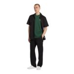 DICKIES MAPLETON T-SHIRT PINE NEEDLE GREEN - Image 7
