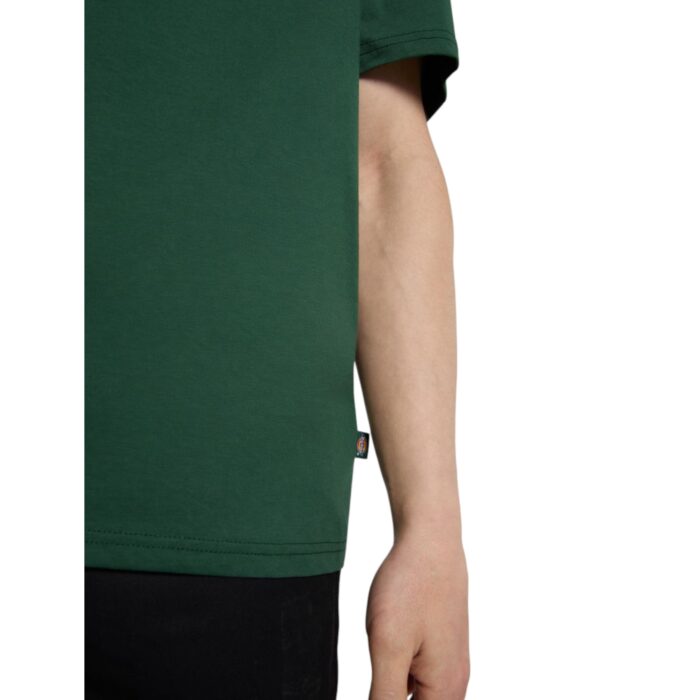 DICKIES MAPLETON T-SHIRT PINE NEEDLE GREEN - Image 6