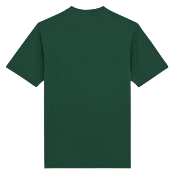 DICKIES MAPLETON T-SHIRT PINE NEEDLE GREEN - Image 2