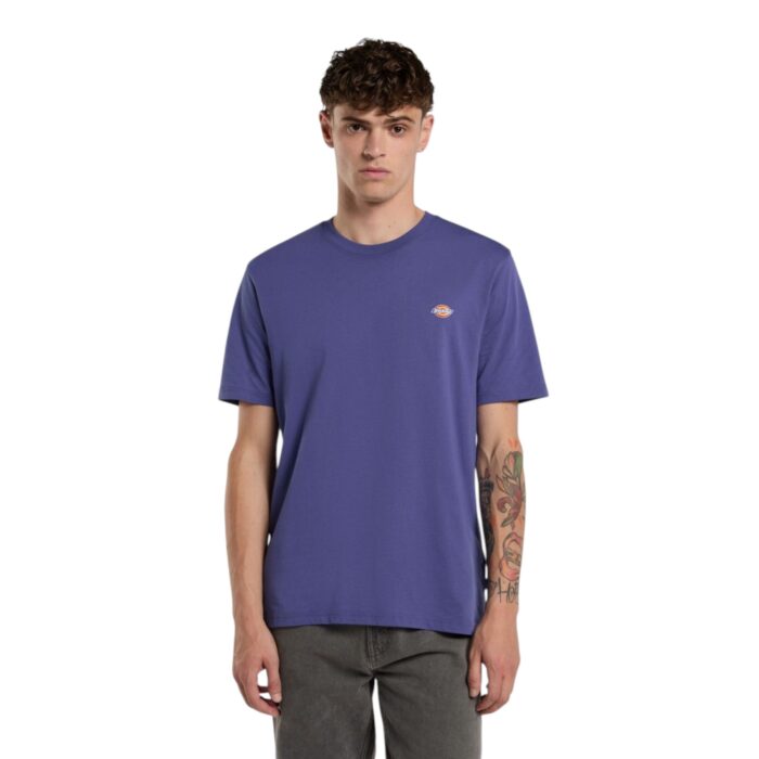 DICKIES MAPLETON T-SHIRT TRUE BLUE - Image 3