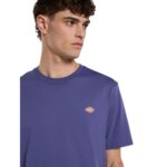 DICKIES MAPLETON T-SHIRT TRUE BLUE - Image 6