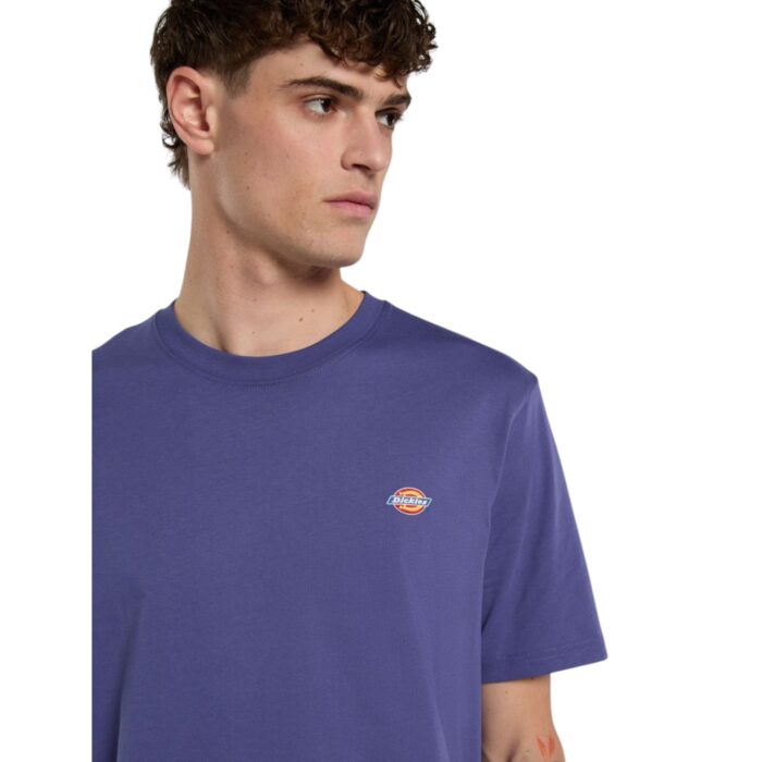 DICKIES MAPLETON T-SHIRT TRUE BLUE - Image 6