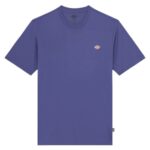 DICKIES MAPLETON T-SHIRT TRUE BLUE