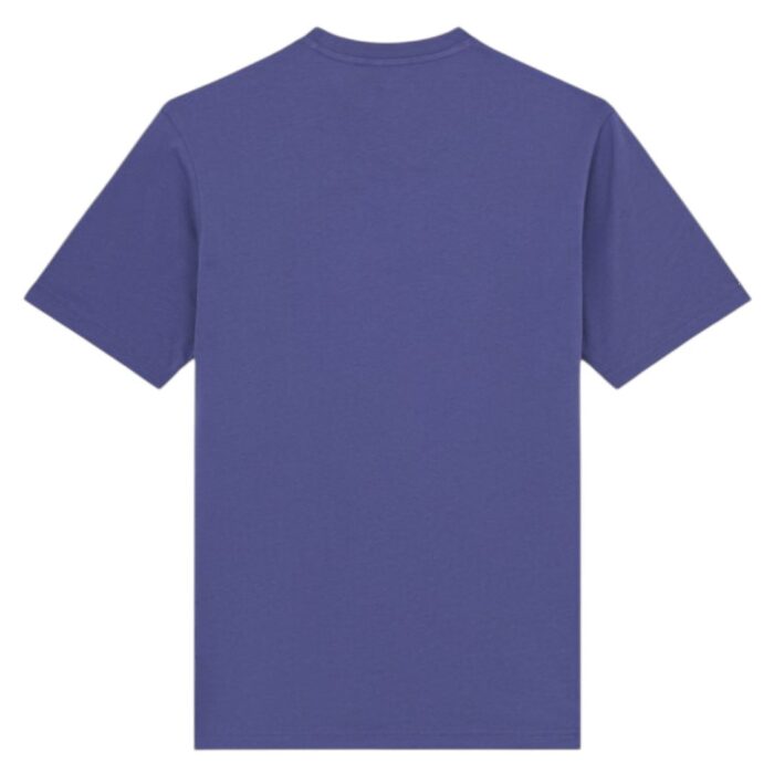 DICKIES MAPLETON T-SHIRT TRUE BLUE - Image 2