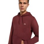 DICKIES OAKPORT HOODIE ANDORRA - Image 4