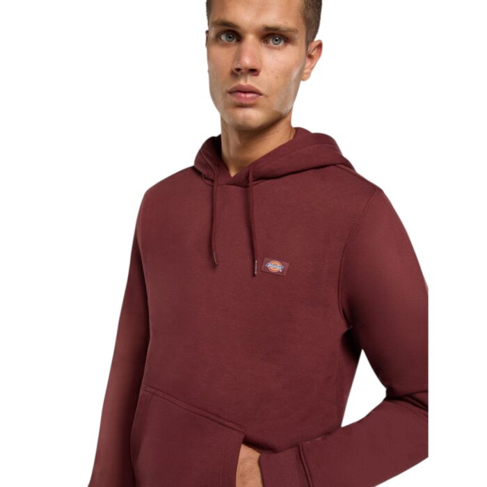 DICKIES OAKPORT HOODIE ANDORRA - Image 4
