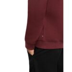 DICKIES OAKPORT HOODIE ANDORRA - Image 5