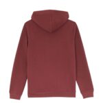 DICKIES OAKPORT HOODIE ANDORRA - Image 7