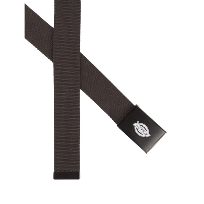 DICKIES ORCUTT WEB BELT DARK BROWN - Image 2