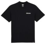 DICKIES STATESVILLE T-SHIRT BLACK - Image 7