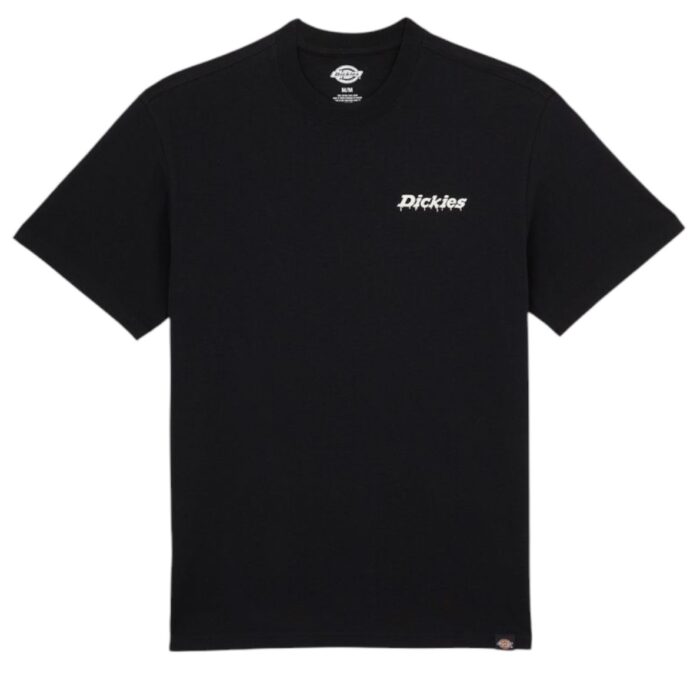 DICKIES STATESVILLE T-SHIRT BLACK - Image 7