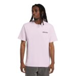 DICKIES STATESVILLE T-SHIRT PEACH BRULEE