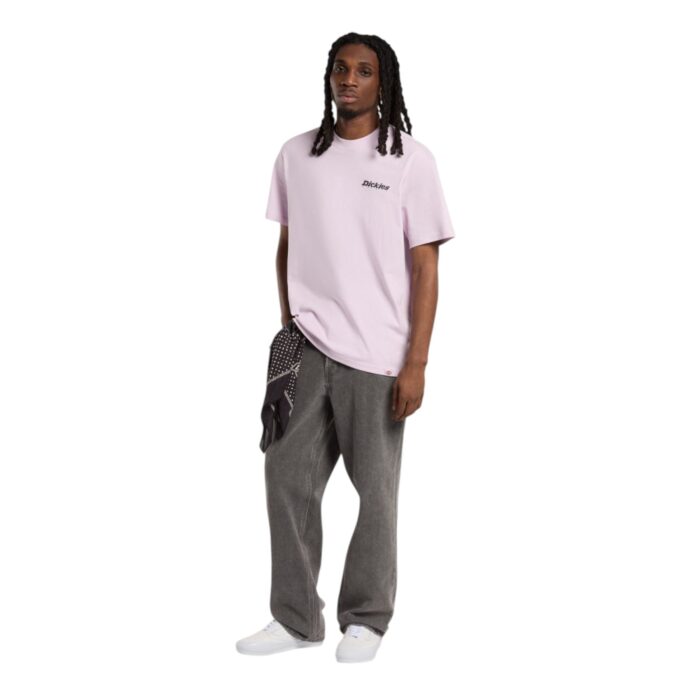DICKIES STATESVILLE T-SHIRT PEACH BRULEE - Image 6