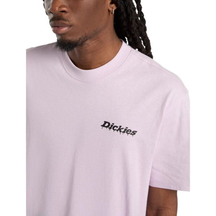 DICKIES STATESVILLE T-SHIRT PEACH BRULEE - Image 3