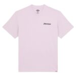 DICKIES STATESVILLE T-SHIRT PEACH BRULEE - Image 7