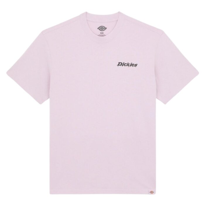 DICKIES STATESVILLE T-SHIRT PEACH BRULEE - Image 7