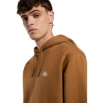 DICKIES SUMMERDALE HOODIE BROWN DUCK - Image 3