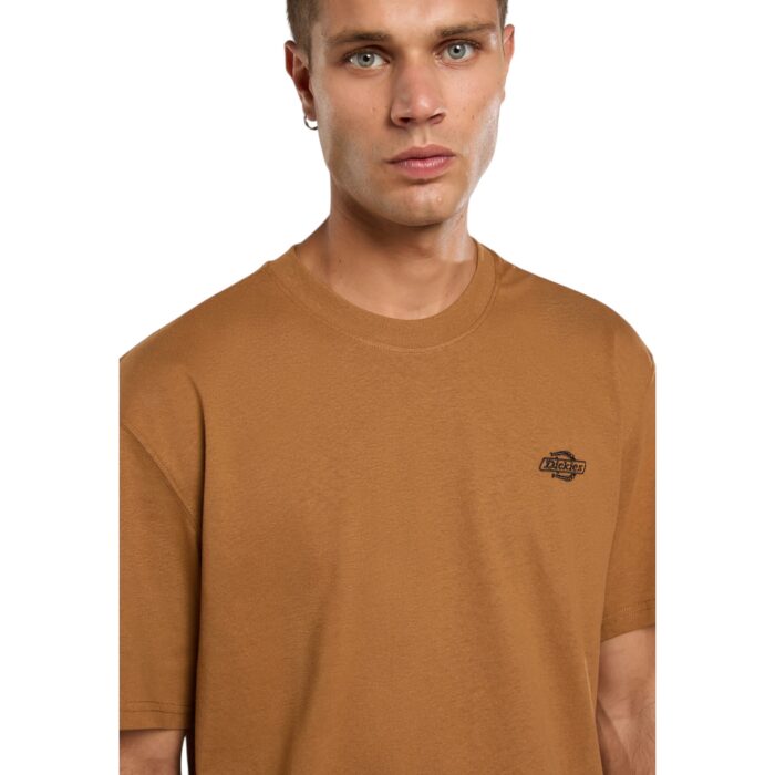 DICKIES SUMMERDALE T-SHIRT BROWN DUCK - Image 4