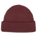 DICKIES WOODWORTH BEANIE ANDORRA - Image 2