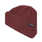 DICKIES WOODWORTH BEANIE ANDORRA - Image 3