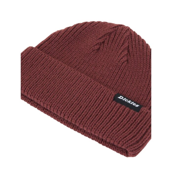 DICKIES WOODWORTH BEANIE ANDORRA - Image 3