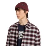 DICKIES WOODWORTH BEANIE ANDORRA - Image 4