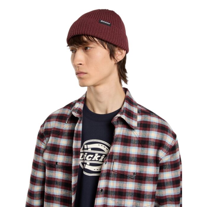 DICKIES WOODWORTH BEANIE ANDORRA - Image 4