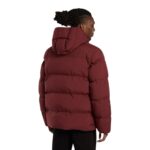 DICKIES EAGLEVILLE HOODED PUFFER JACKET ANDORRA - Image 2