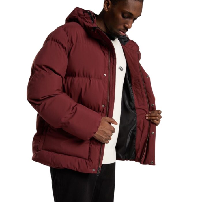 DICKIES EAGLEVILLE HOODED PUFFER JACKET ANDORRA - Image 6