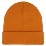 DICKIES SUMMERDALE BEANIE PUMPKIN SPICE - Εικόνα 2