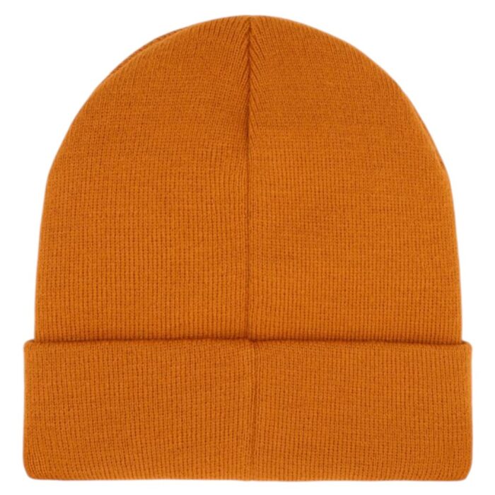 DICKIES SUMMERDALE BEANIE PUMPKIN SPICE - Εικόνα 2