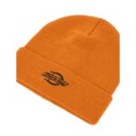 DICKIES SUMMERDALE BEANIE PUMPKIN SPICE - Εικόνα 3