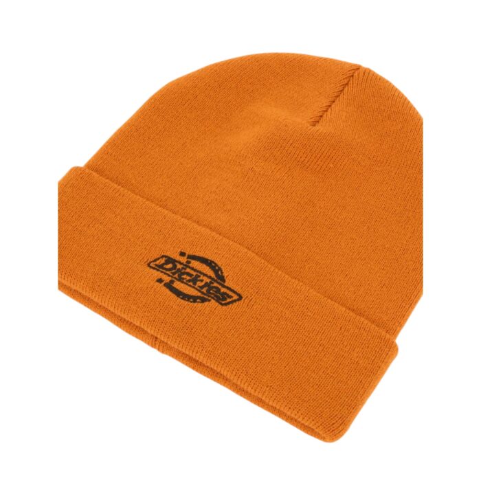 DICKIES SUMMERDALE BEANIE PUMPKIN SPICE - Εικόνα 3