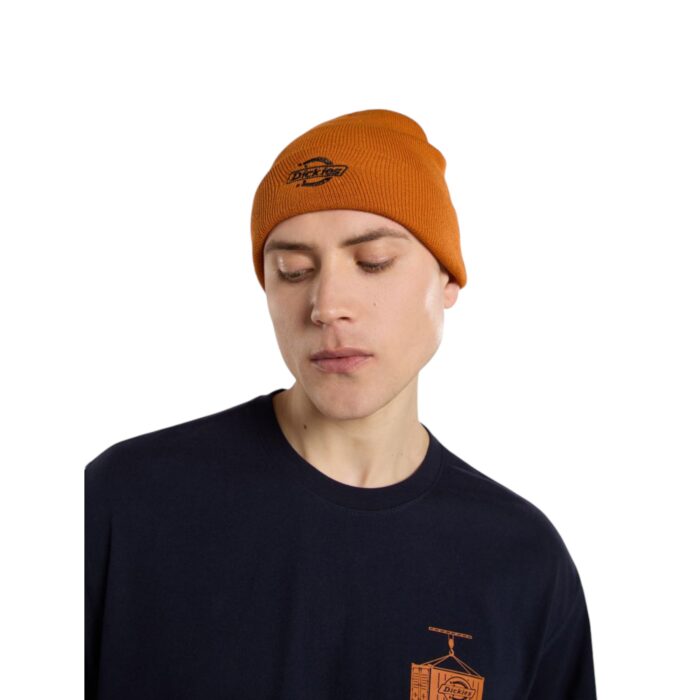 DICKIES SUMMERDALE BEANIE PUMPKIN SPICE - Εικόνα 4