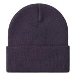 CARHARTT WIP SHORT WATCH BEANIE LOKERS - Image 2