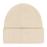 DC LABEL BEANIE OATMEAL - Image 2