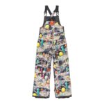DC BOYS ROADBLOCK BIB SNOW PANT OUTER WORLD - Image 2