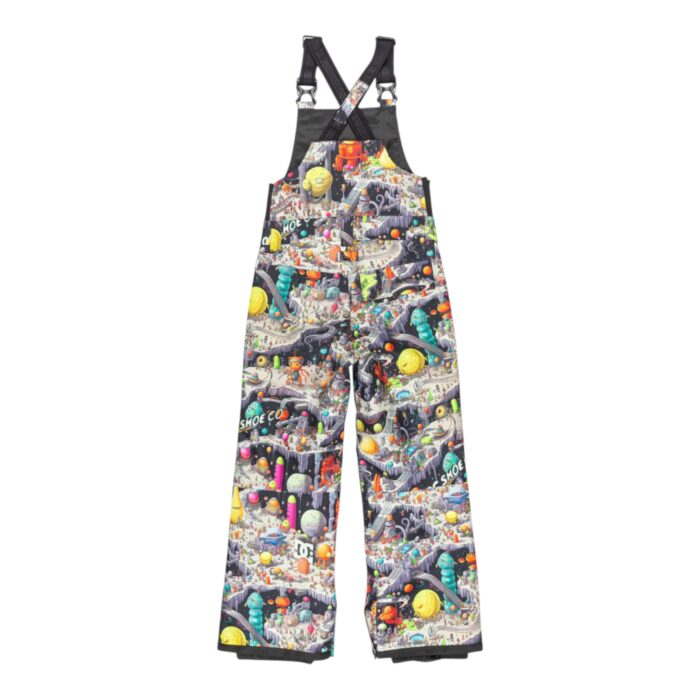 DC BOYS ROADBLOCK BIB SNOW PANT OUTER WORLD - Image 2